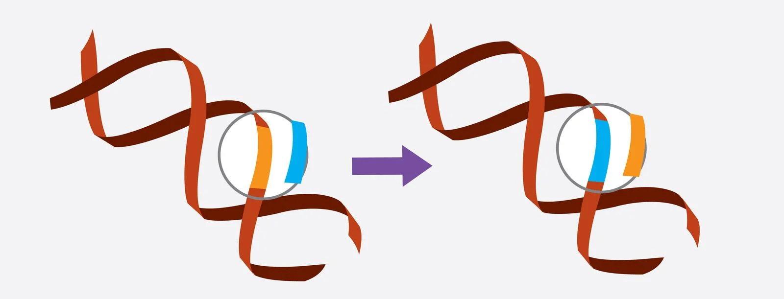 Gene editing techniques could enable even more precise therapy