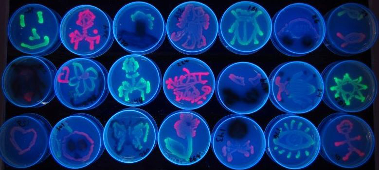 DIY projects like biohacking and synthetic biology could become much more common in the future