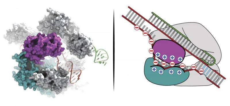 Credit: Ian Slaymaker, Broad Institute