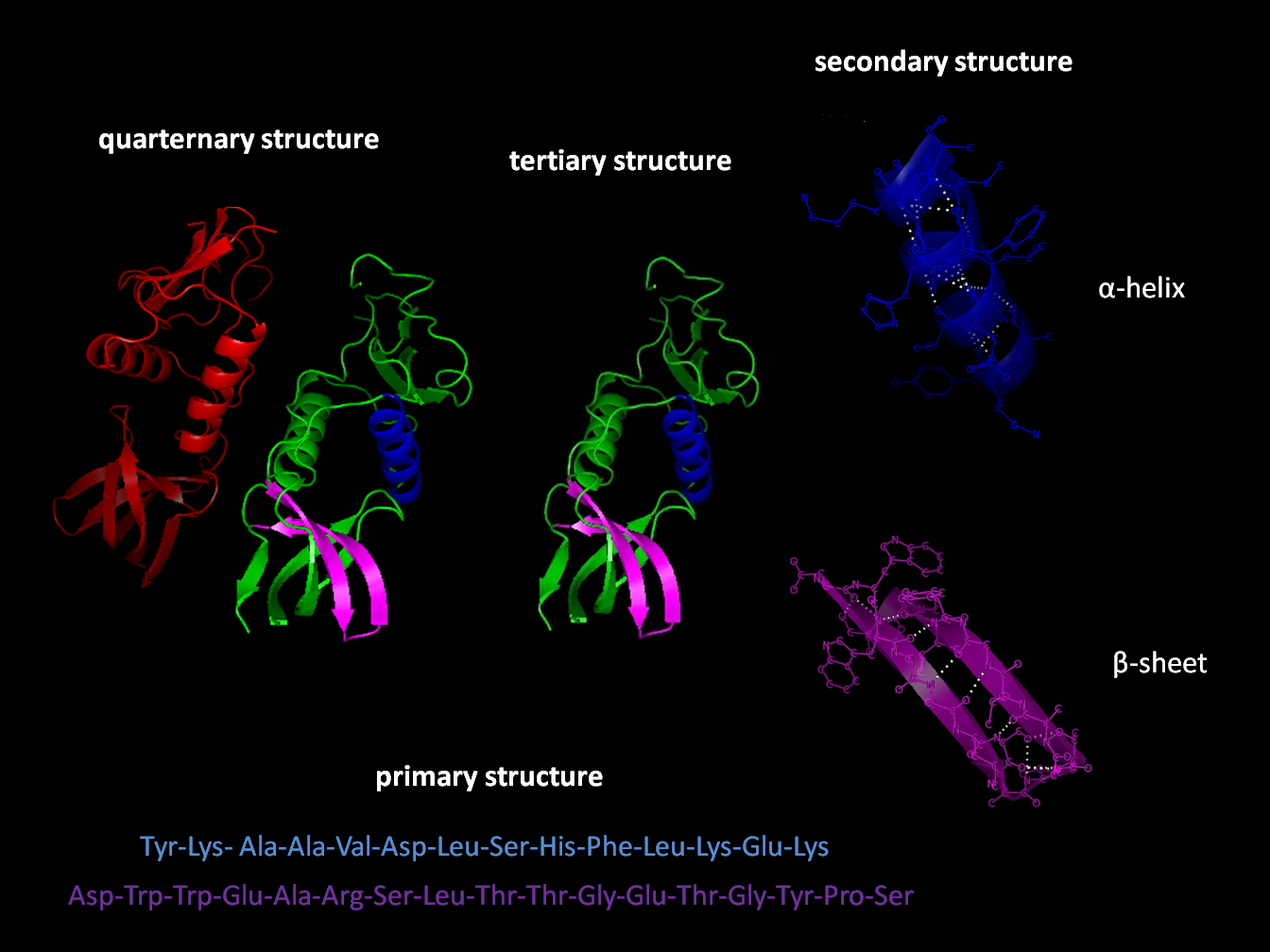 Understanding and cataloging the huge variety of structures within proteins is extremely important 