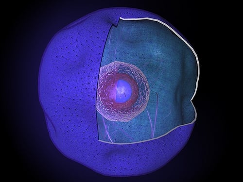 Getting the system into cells is still a challenge