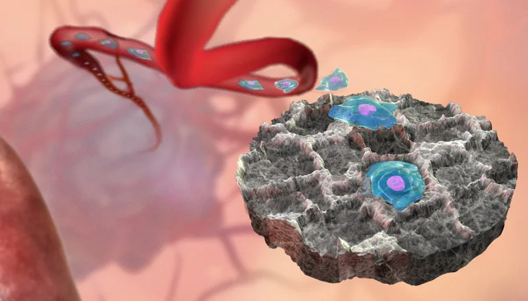 An illustration of the device Credit: U. Michigan