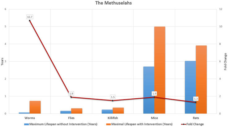 Figure 13 : The largest lifespan extension obtained to date for five model organisms by genetic, pharmacological, dietary interventions or a combination thereof. Reproduced from Bulterijs et al., 2015