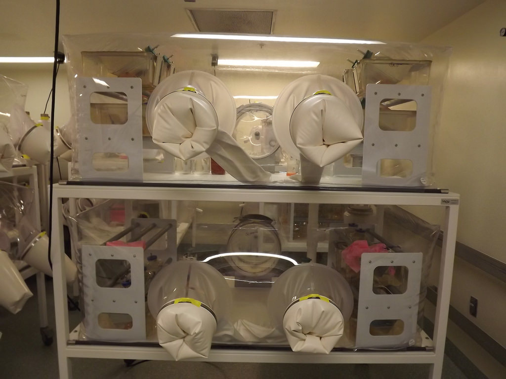 Germ-free mice facility at the National Institute of Allergy and Infectious Diseases (NIAID). Credit: NIAID