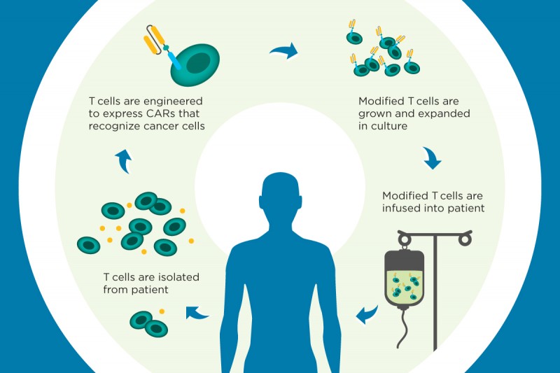 Credit: Memorial Sloan Kettering Cancer Center