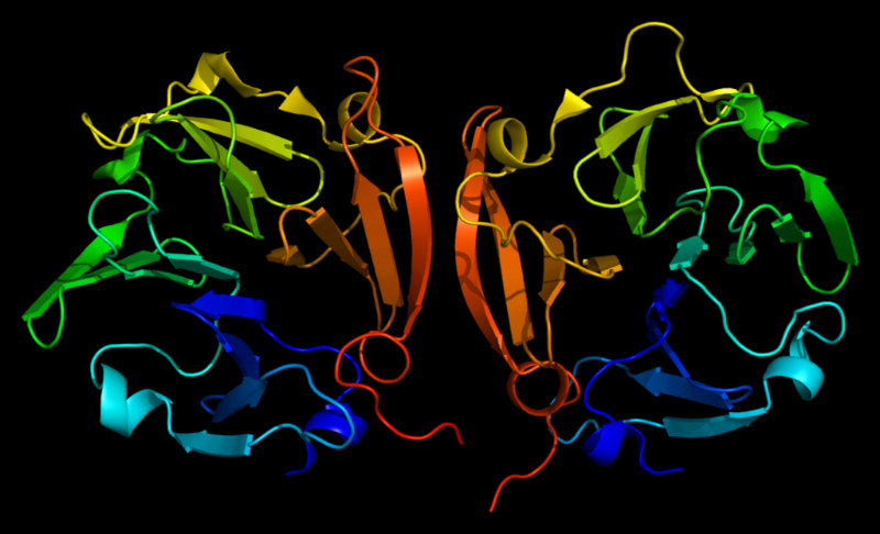 The structure of MMP9