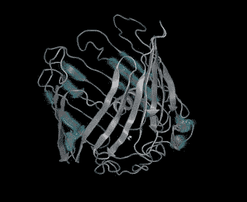 3-D modeling of the TOMM40 gene Credit: Peter Larsen