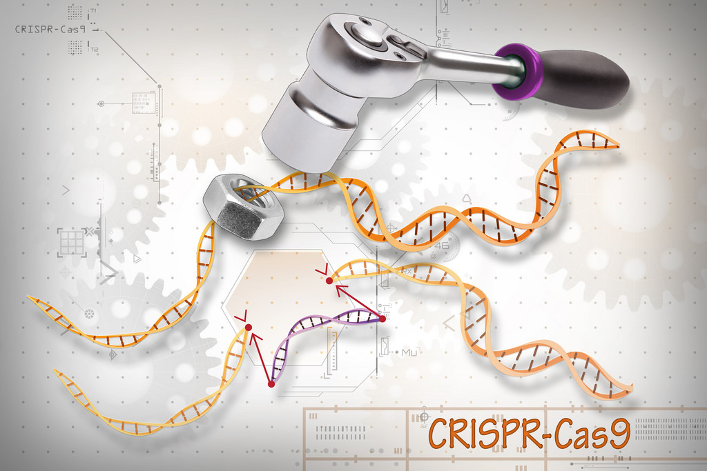 Credit: National Institutes of Health (NIH)