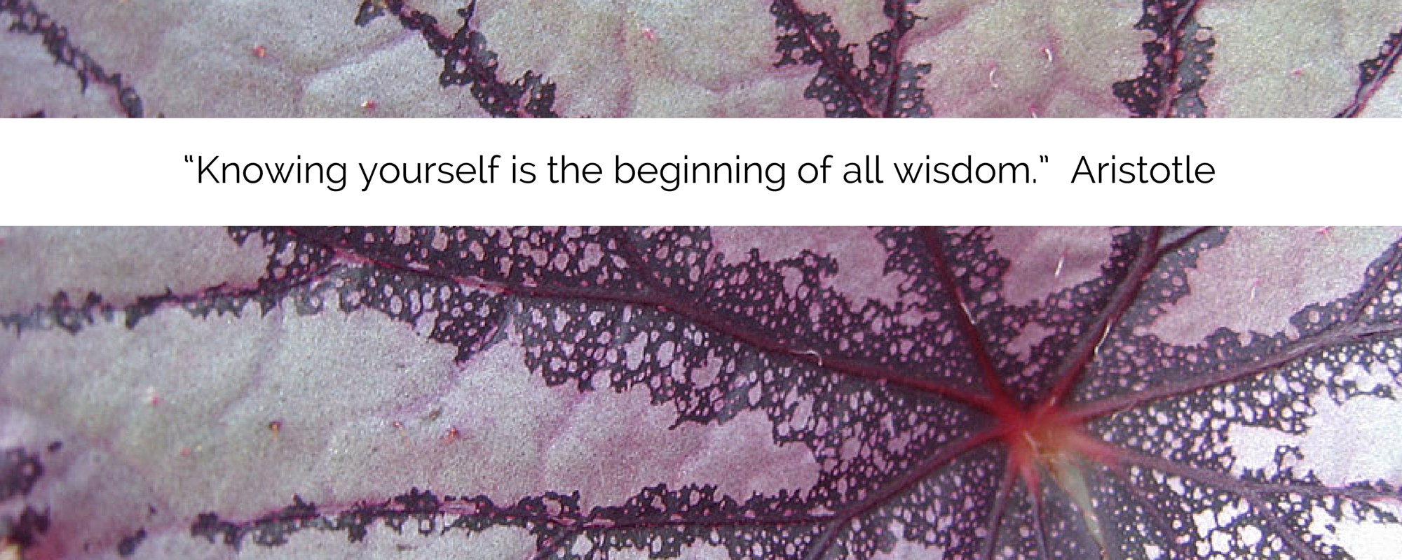 “Knowing yourself is the beginning of (1).png