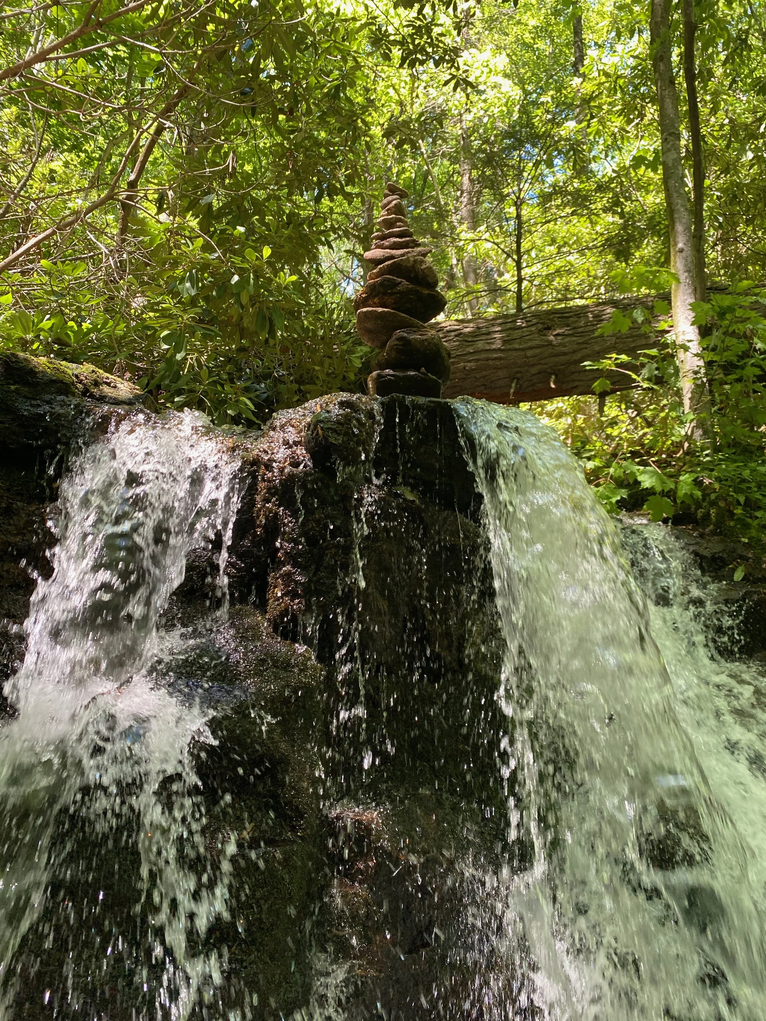 Seasons of Humanity:  Re-understanding Abundance