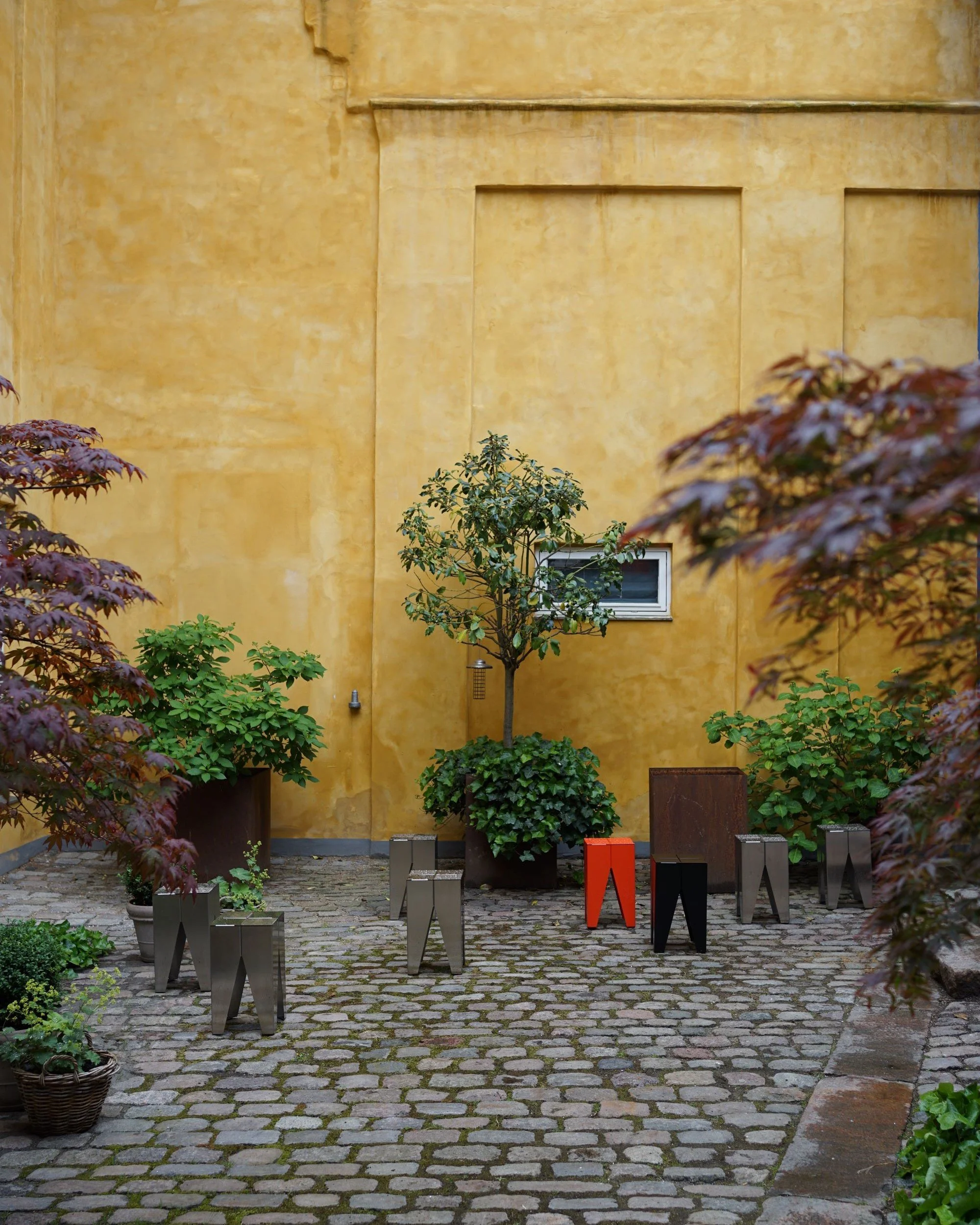 DSC03456.jpg