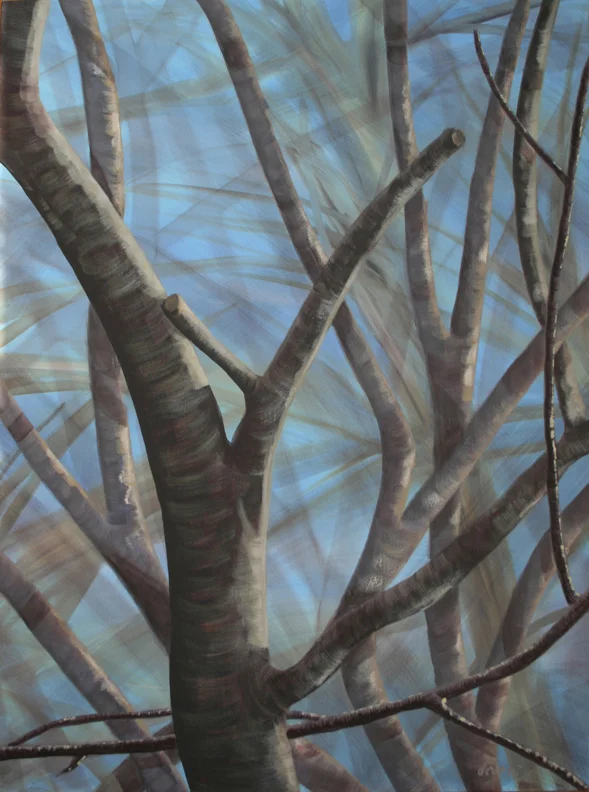 Branches #23
