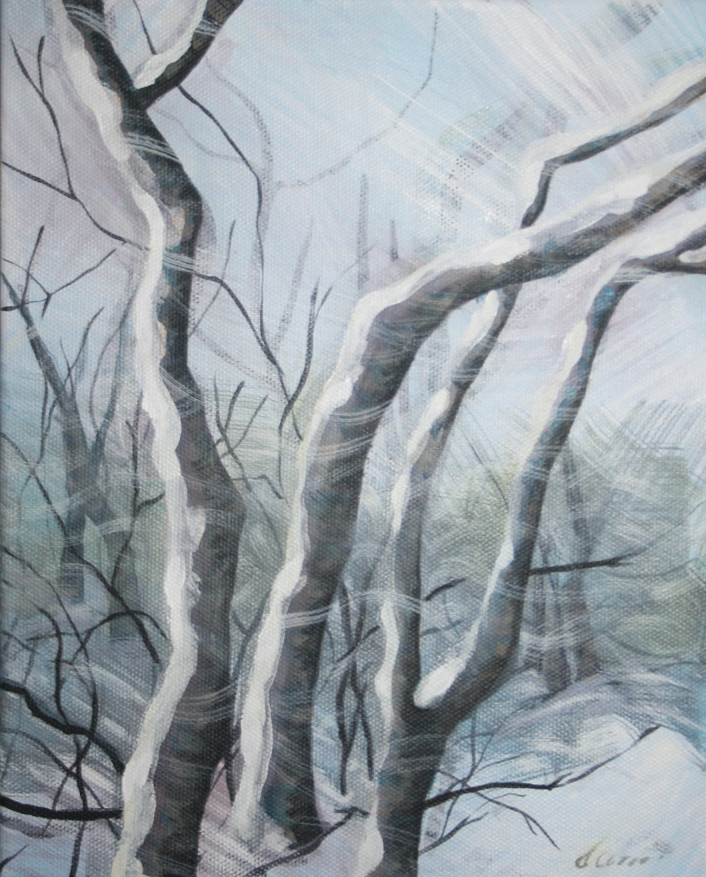 February Snow