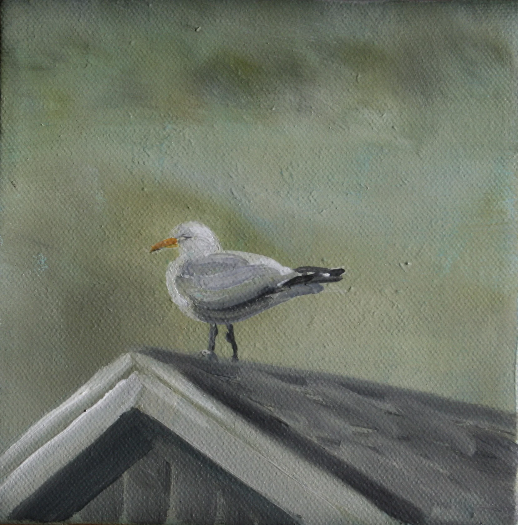 Gull #1
