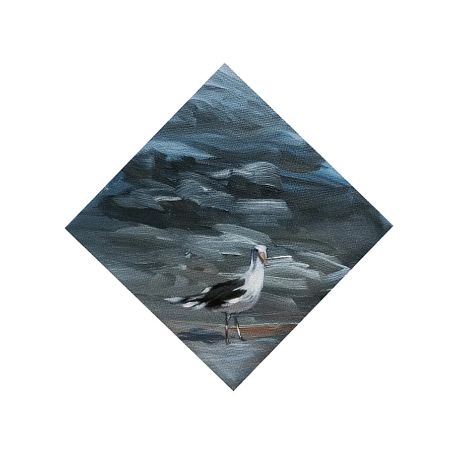 Gull 2