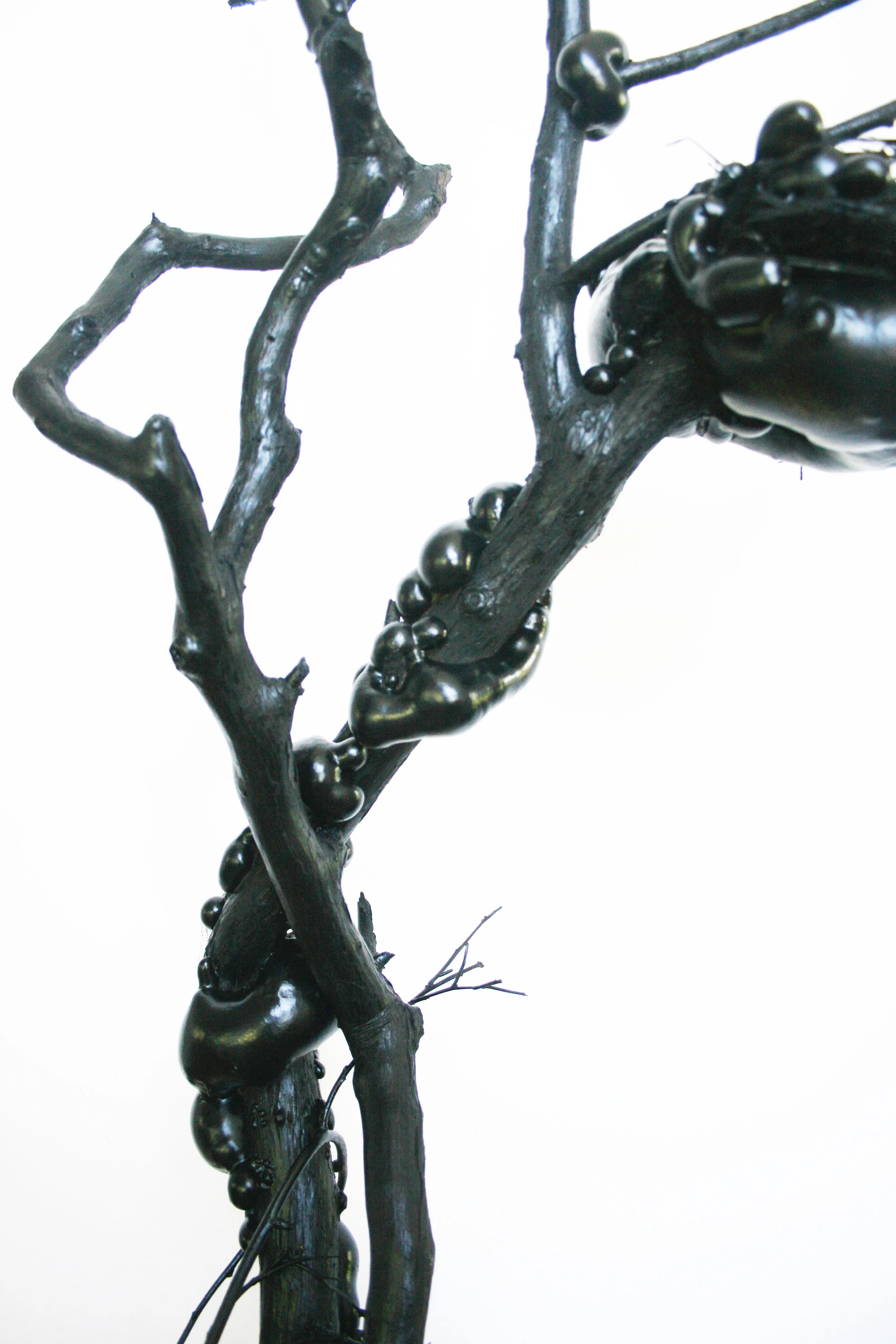 Detail #1: Nest No More