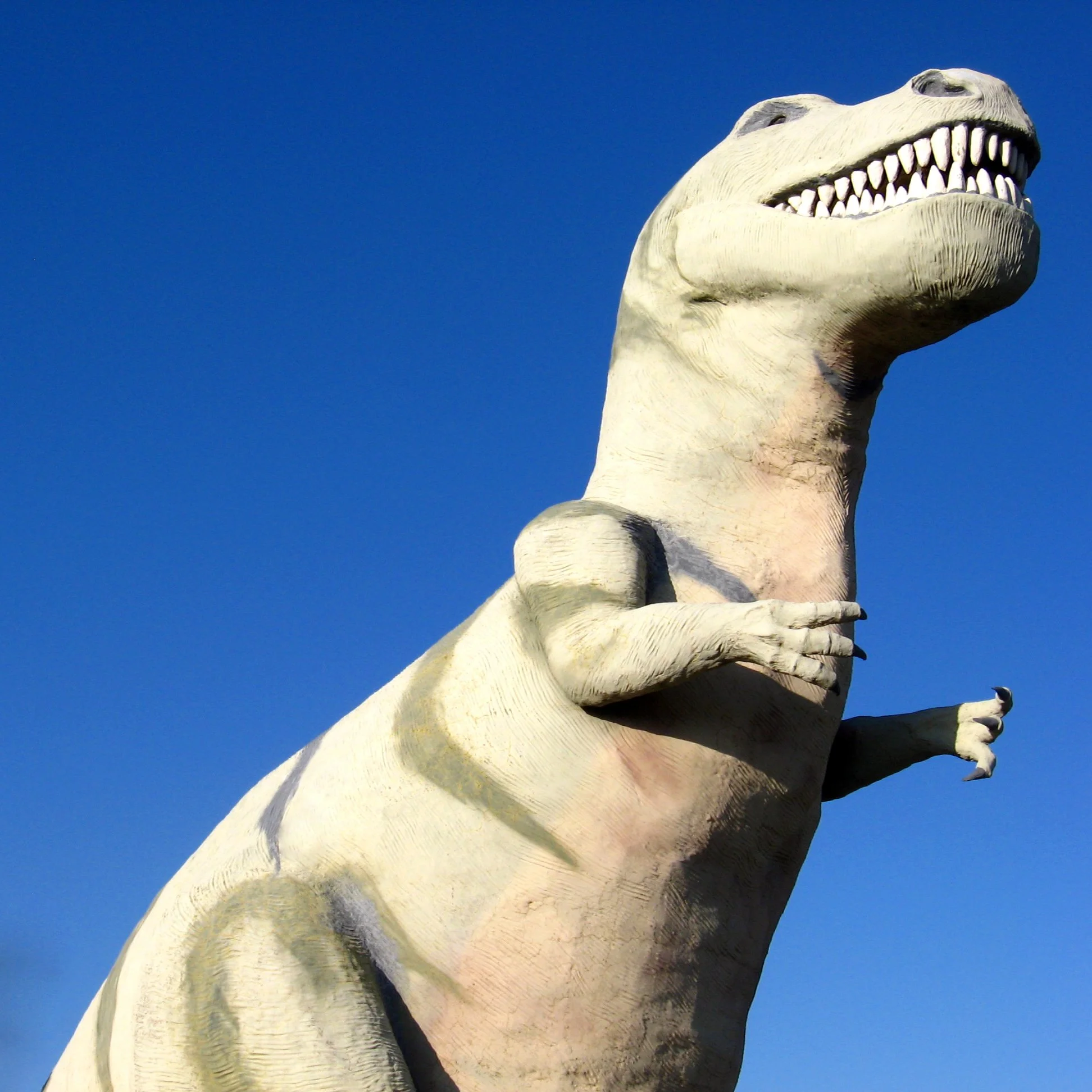Photo of T-Rex dinosaur statue
