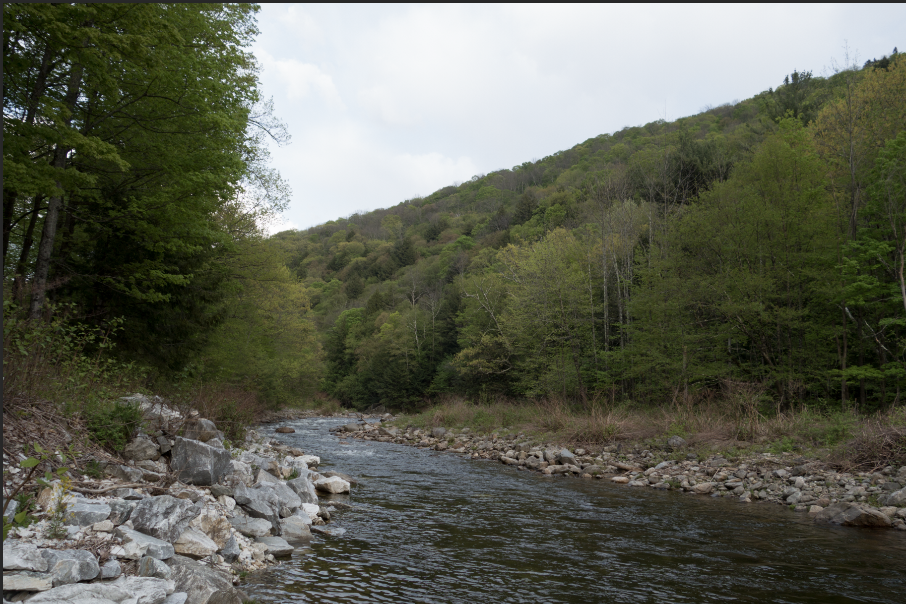 Sony with no raw processing.