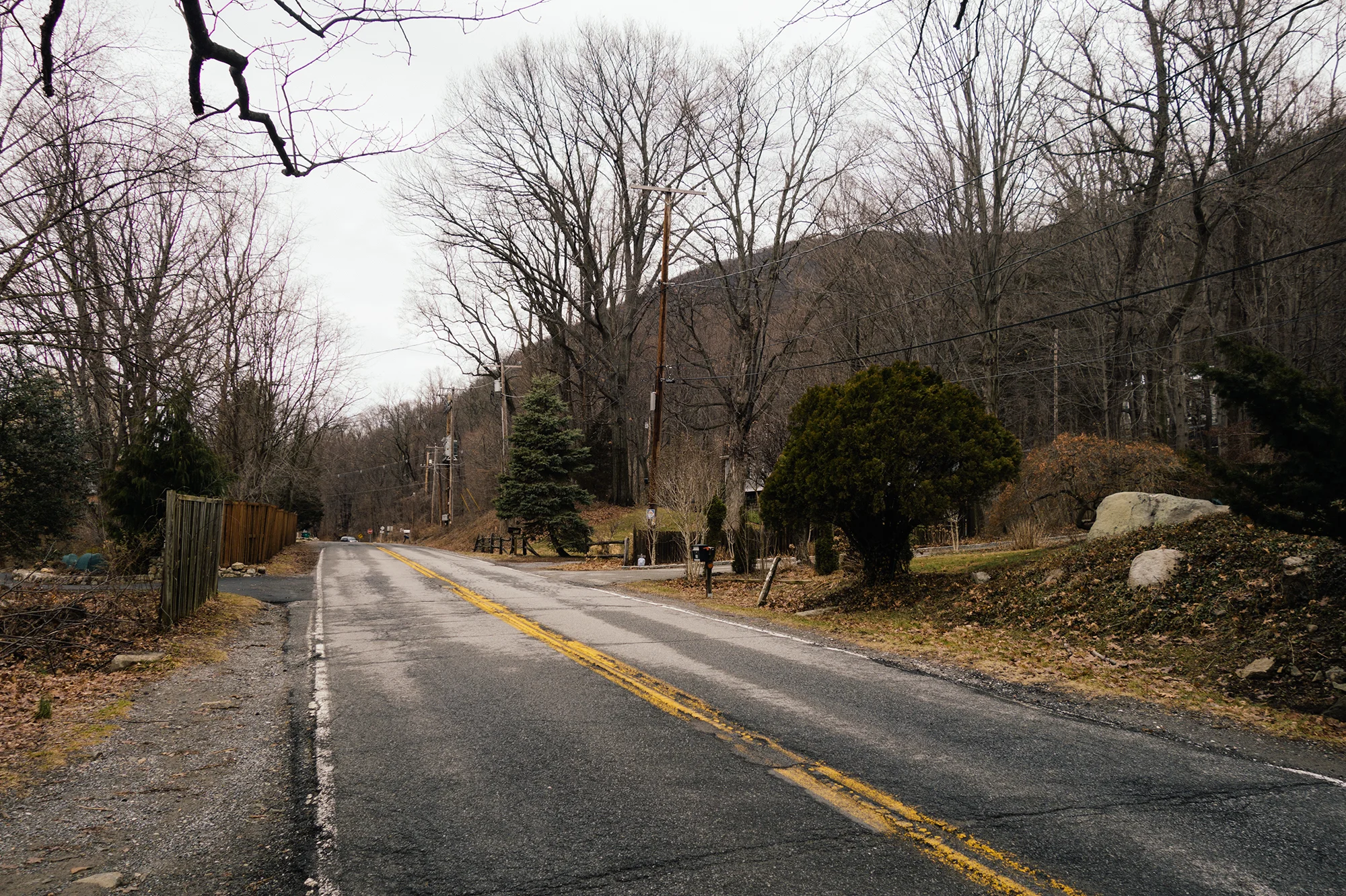 _DSC0037-1 copy.jpg