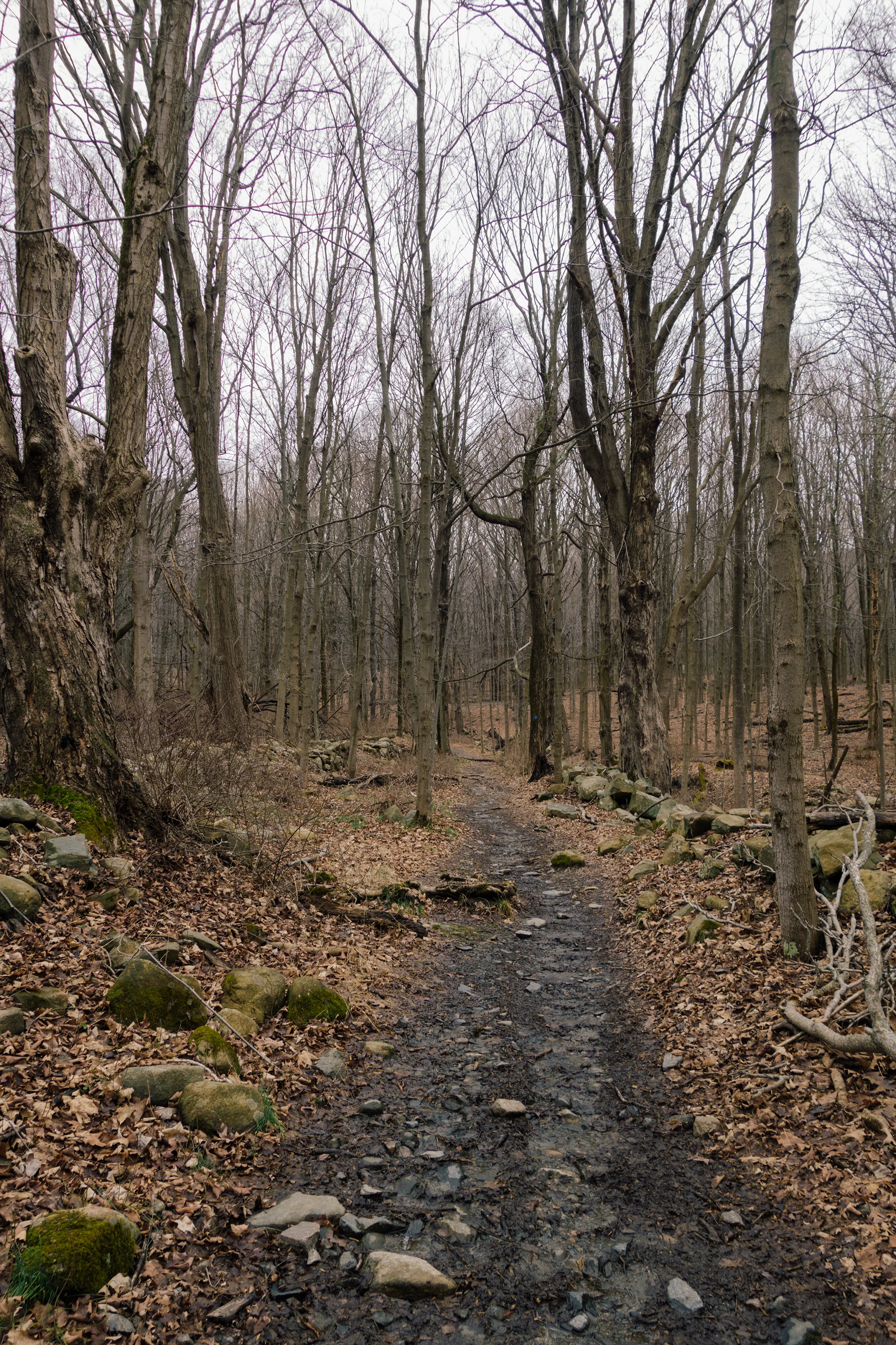 _DSC0048-1 copy.jpg