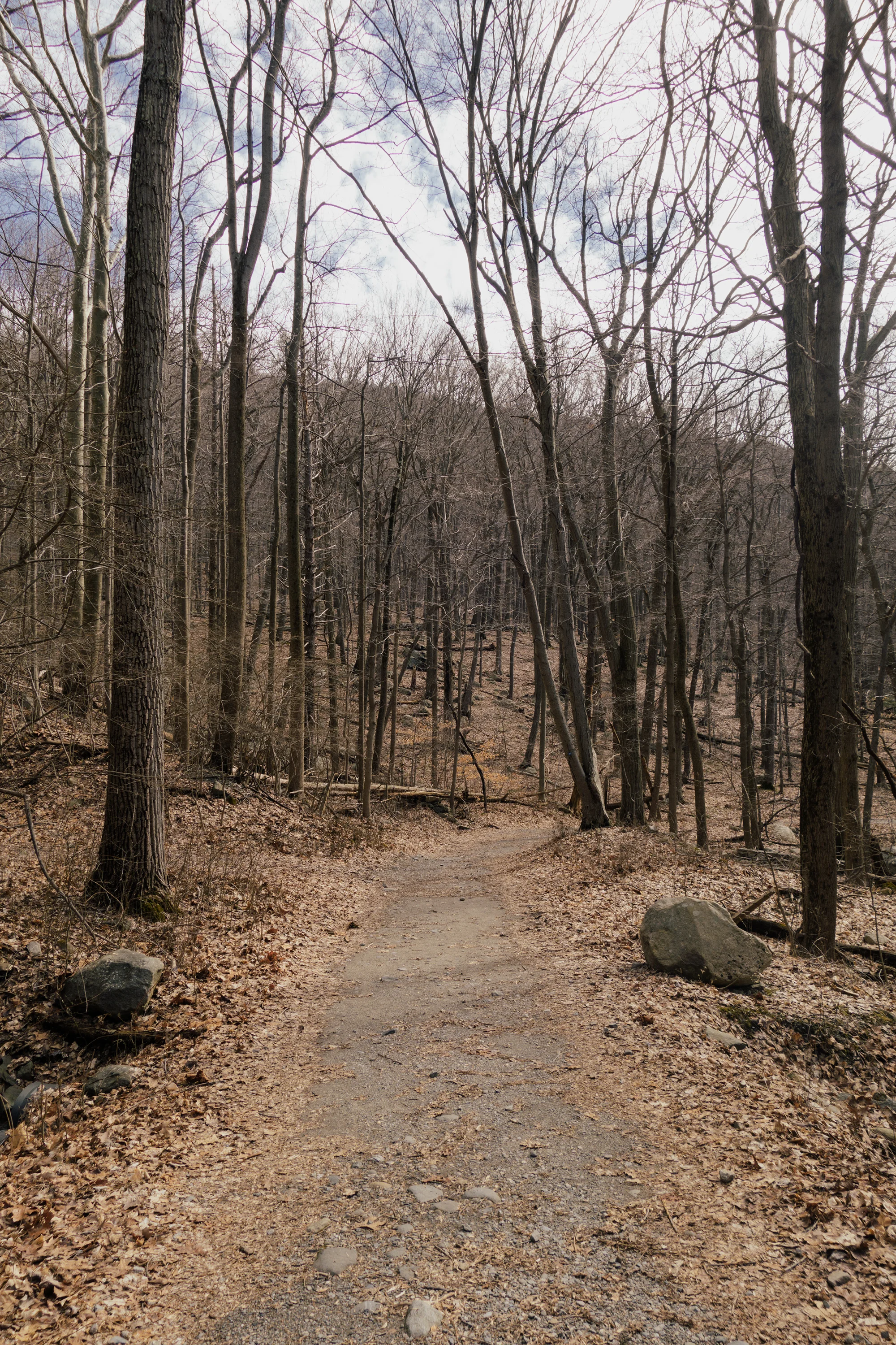 _DSC0113-1 copy.jpg