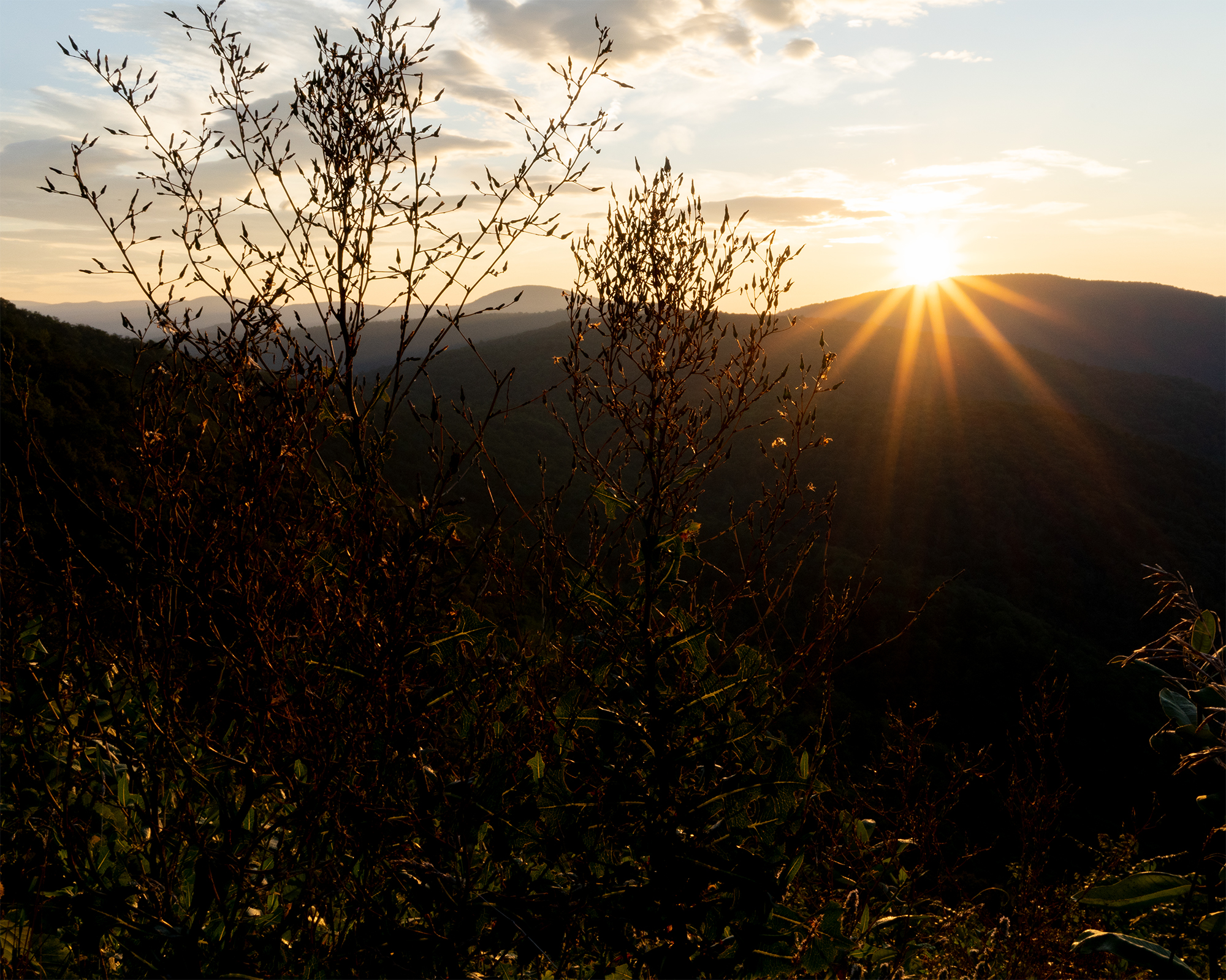 _DSC0228-1 copy.jpg