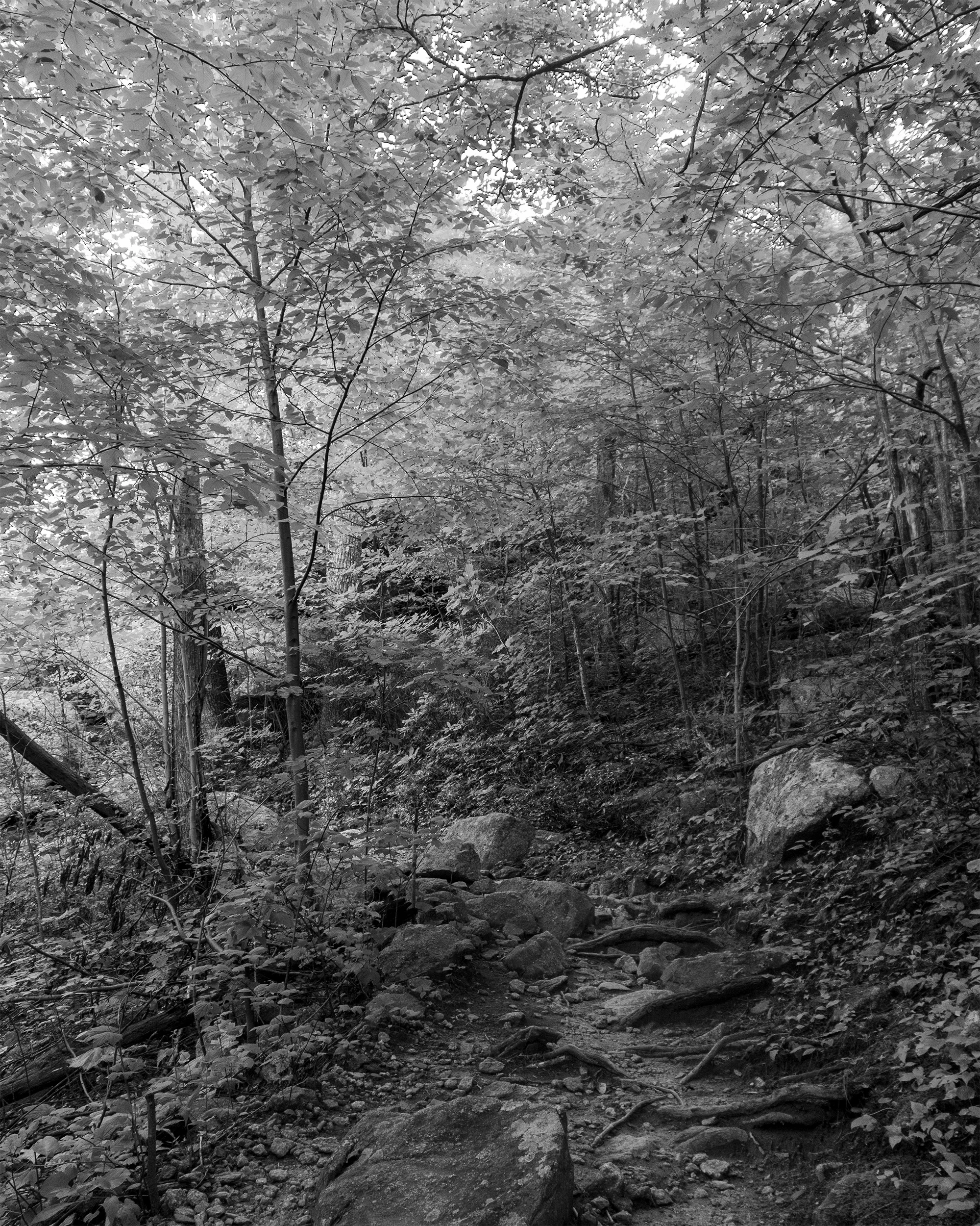 _DSC0075-1 copy.jpg