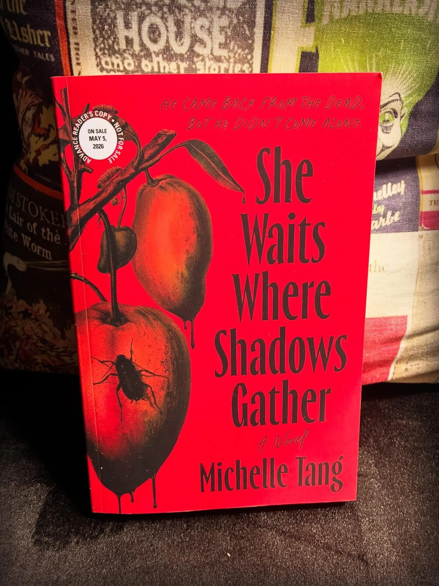 Celebrating today&rsquo;s release of this gorgeous gothic novel from @michelletangwrites ! I had the honor of blurbing it, and can&rsquo;t wait for you all to read it. Here&rsquo;s what I said: 

&ldquo;This novel is a beautiful and haunted tapestry 