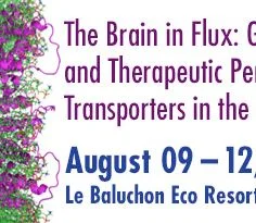 4th Biennial Brain in Flux