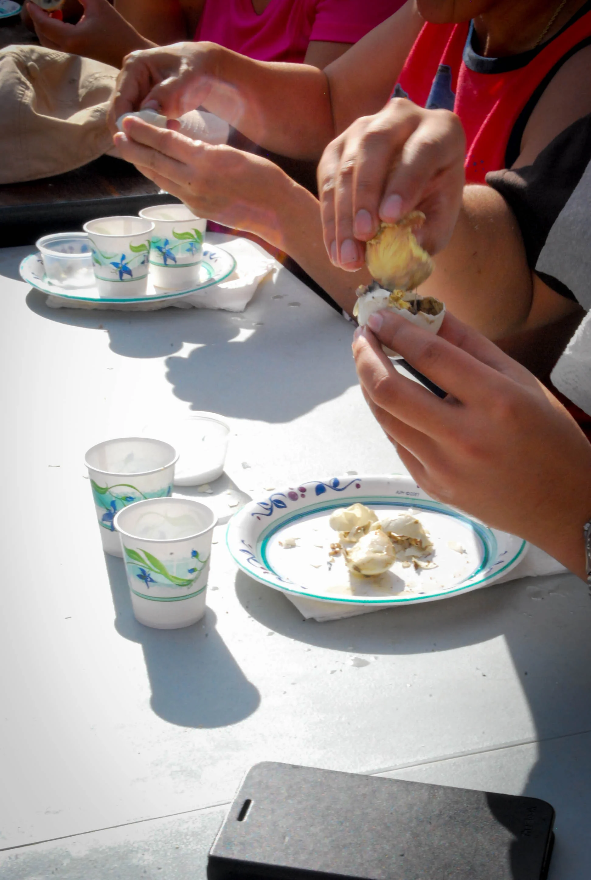 Adobo Fest: Rock the Balut