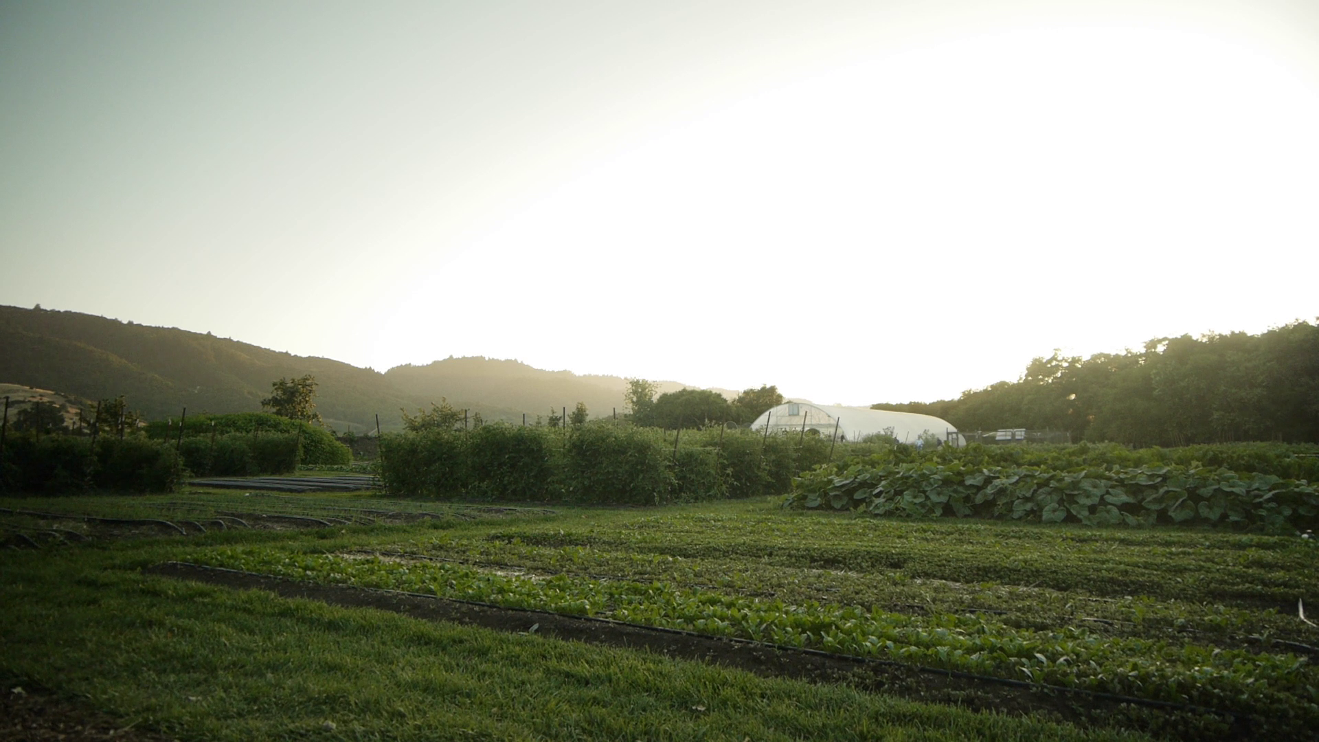 vlcsnap-2014-09-05-10h45m43s235.png