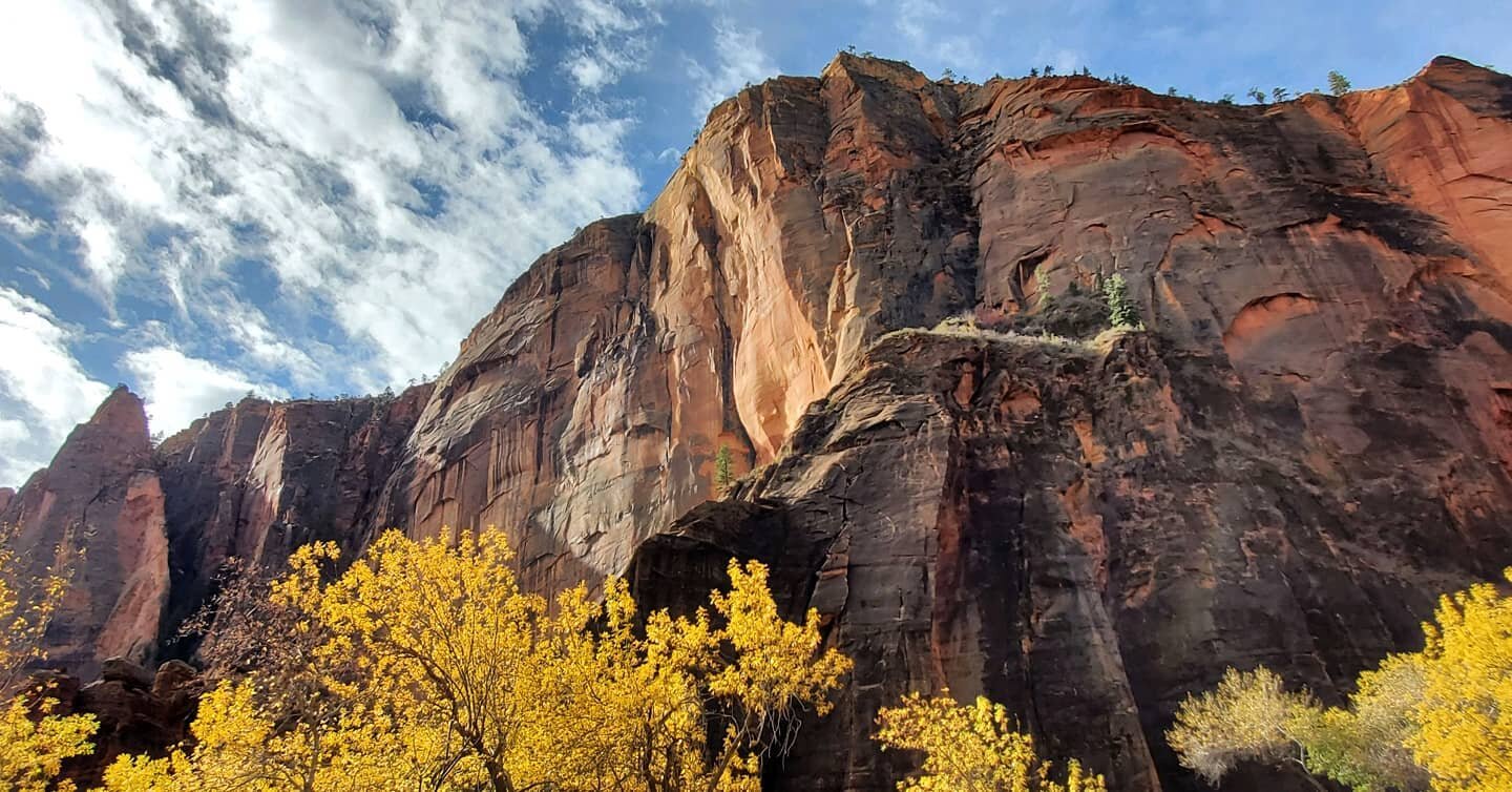 Z I O N
.
.
#zion #roadtrippin #utah #nature #nationalpark #narrows