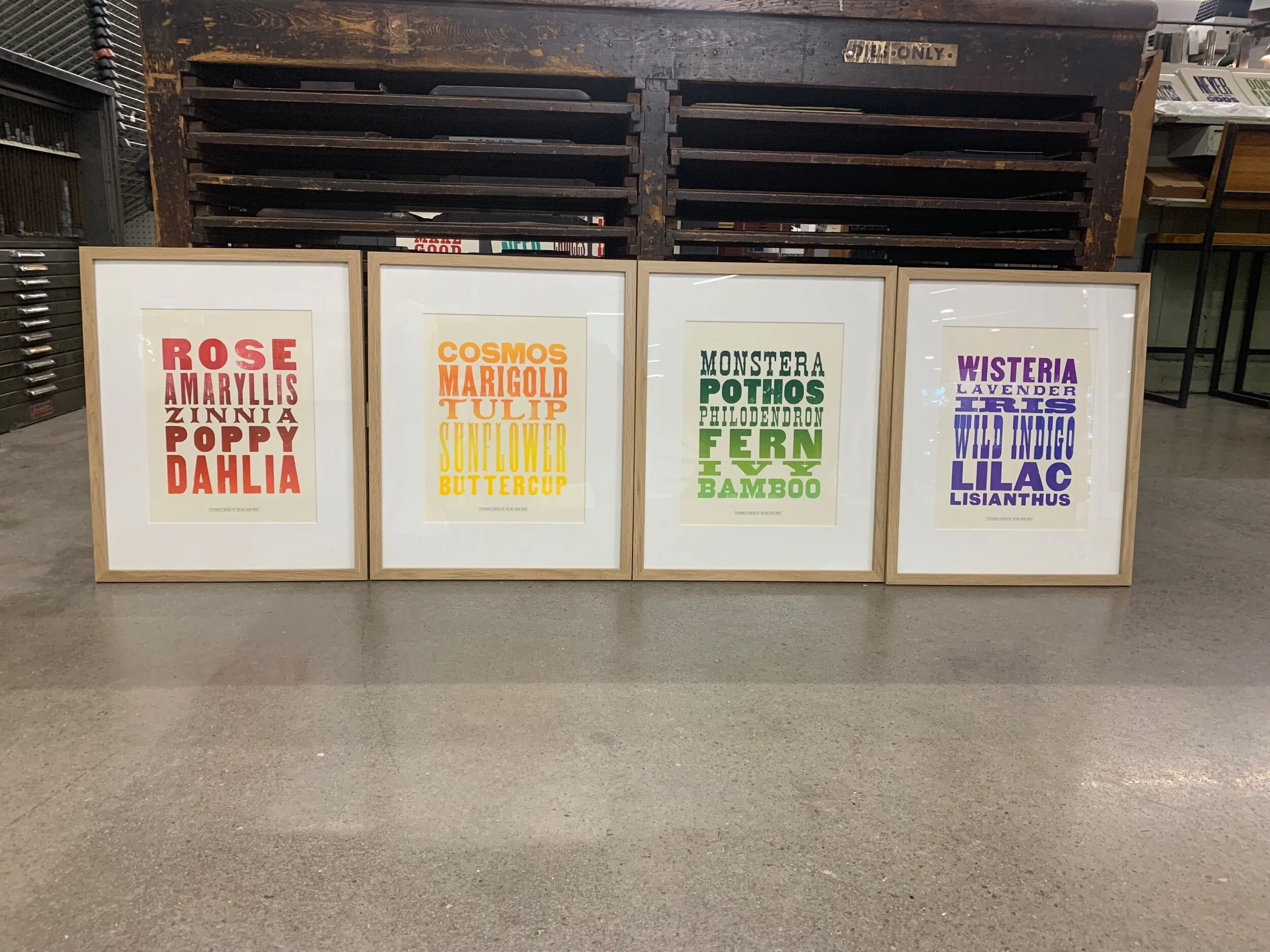 E14BC319-0075-4A9F-B18D-097753F69665