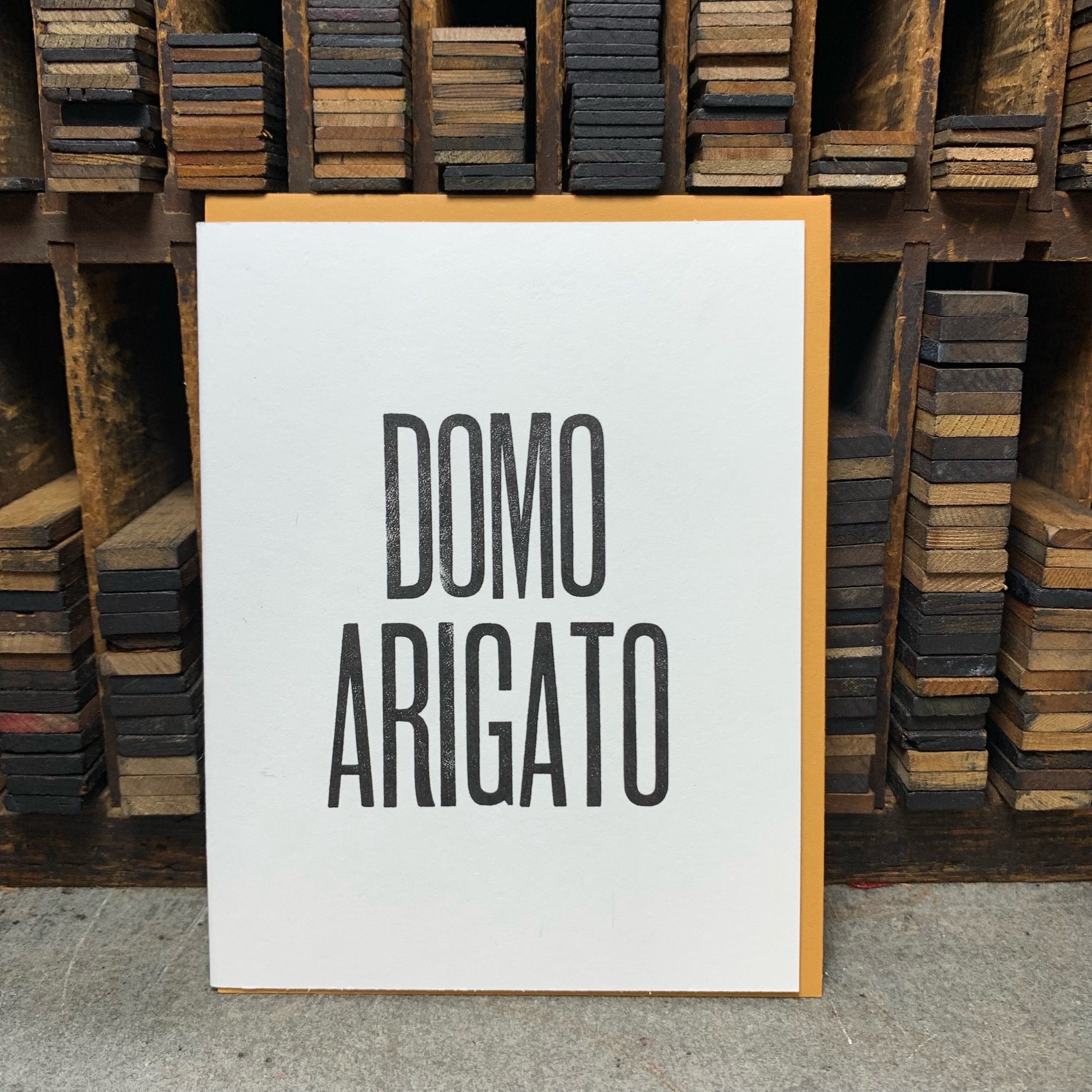 C56CA293-9F6D-40E5-885B-A3B155664D0E