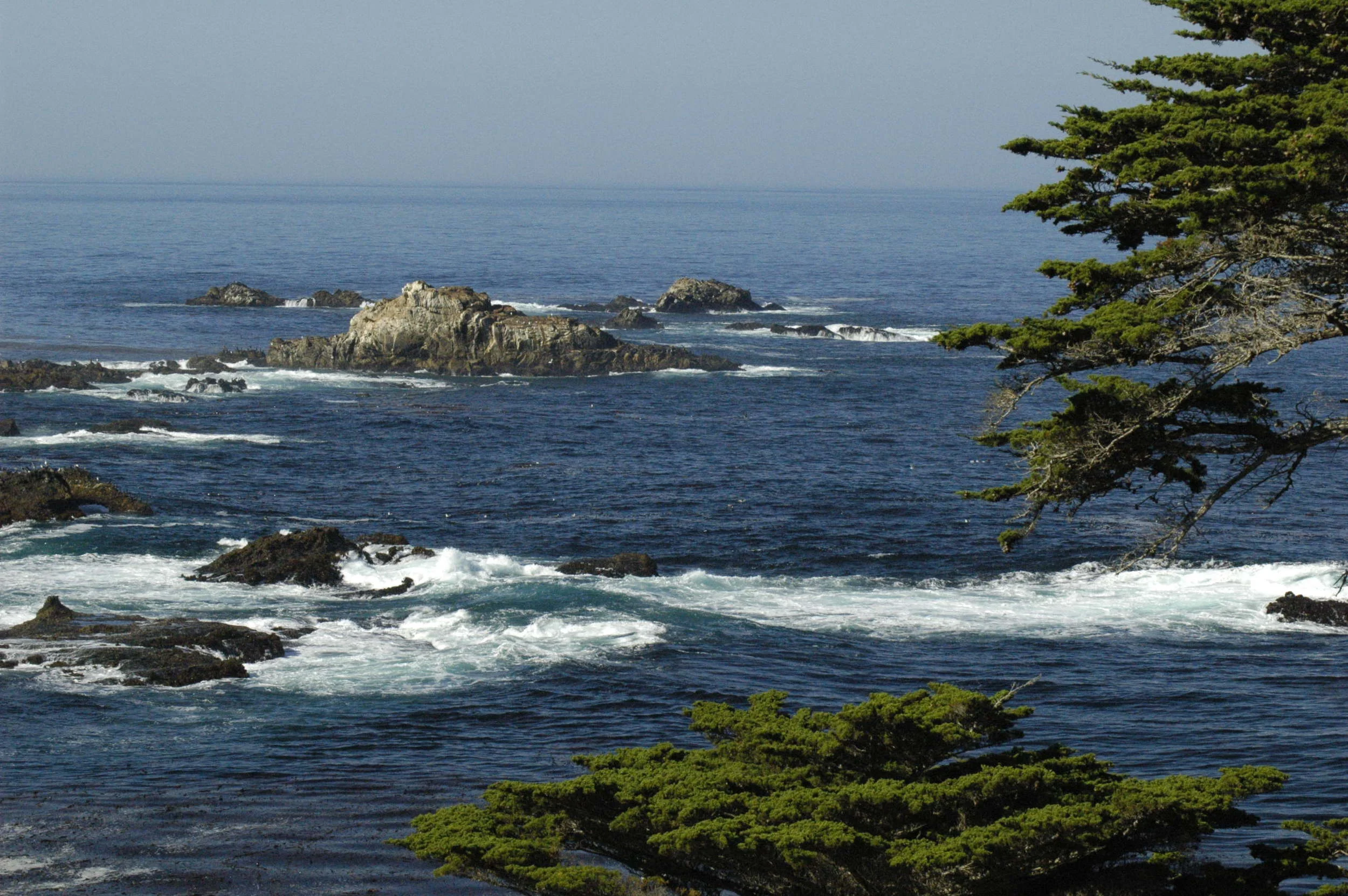 _DSC1441.JPG