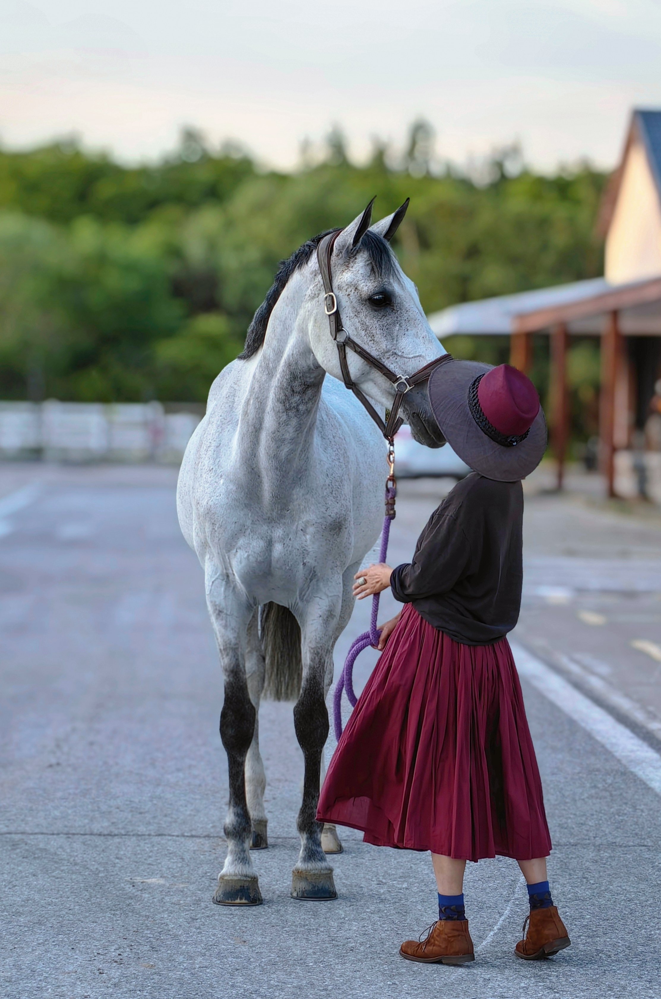 A person holding a purple lead rope, standing next to a gray horse with a dark mane, wearing a halter and a hat on its nose, in an outdoor setting with trees and a building in the background.