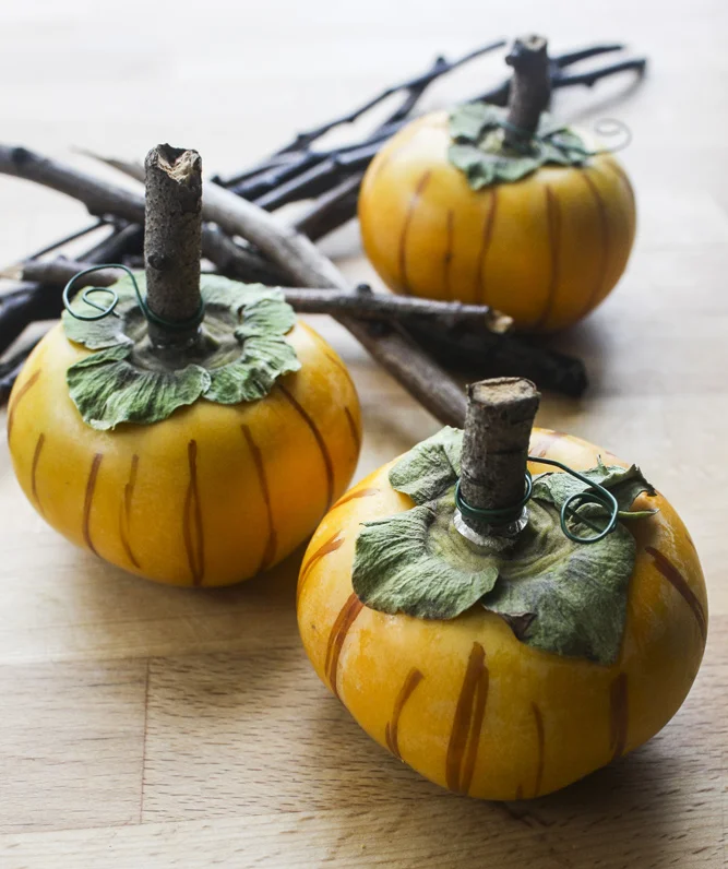 PersimmonPumpkins_100714_15.jpg