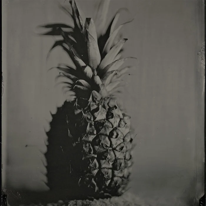 Creative Spotlight | Henrietta's Eye