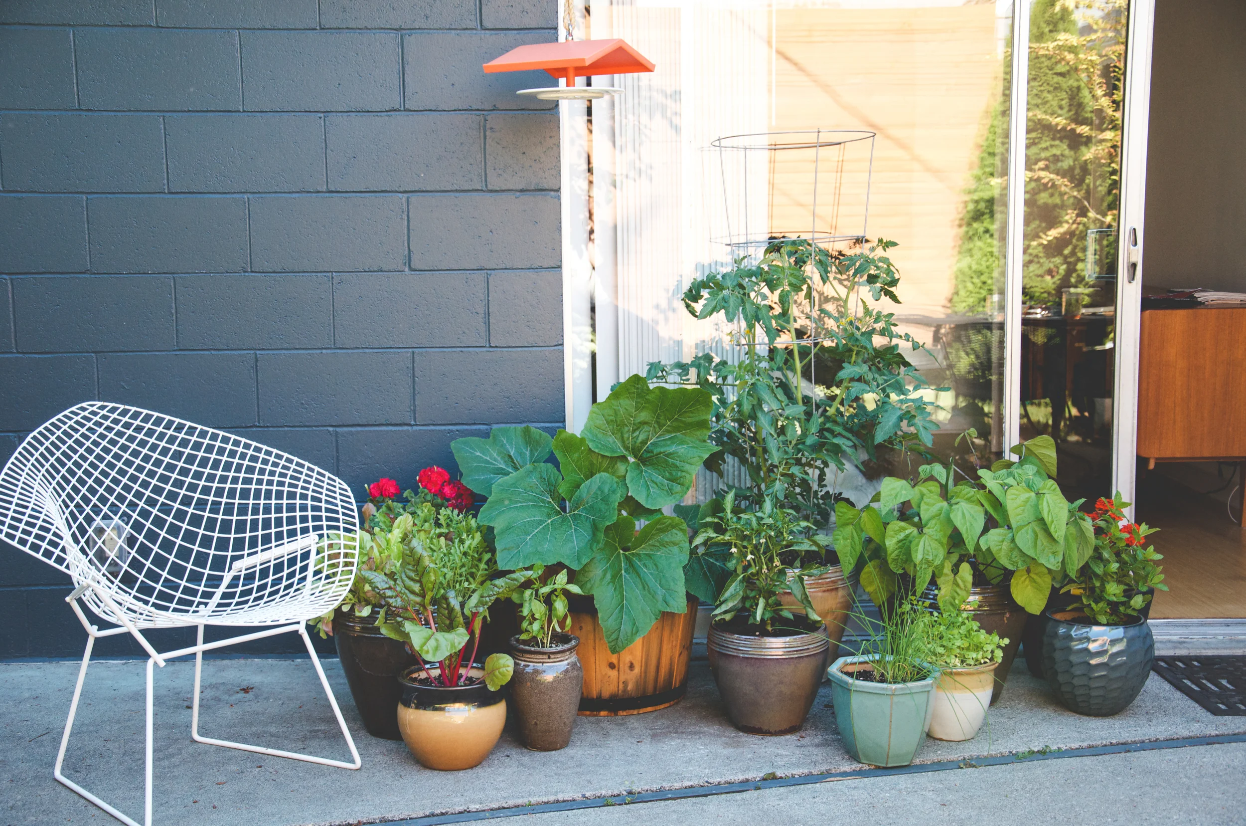 Garden access - p hoto by Seattle Urban Farm Company