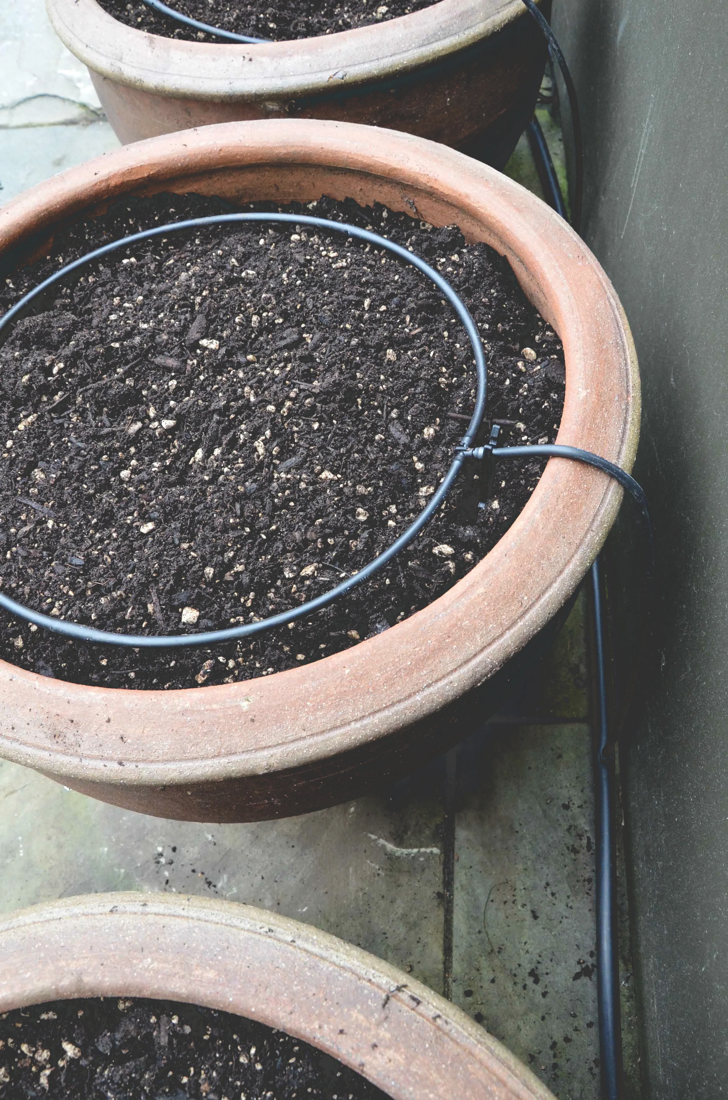 Irrigation in a container garden - Photo by Seattle Urban Farm Company 