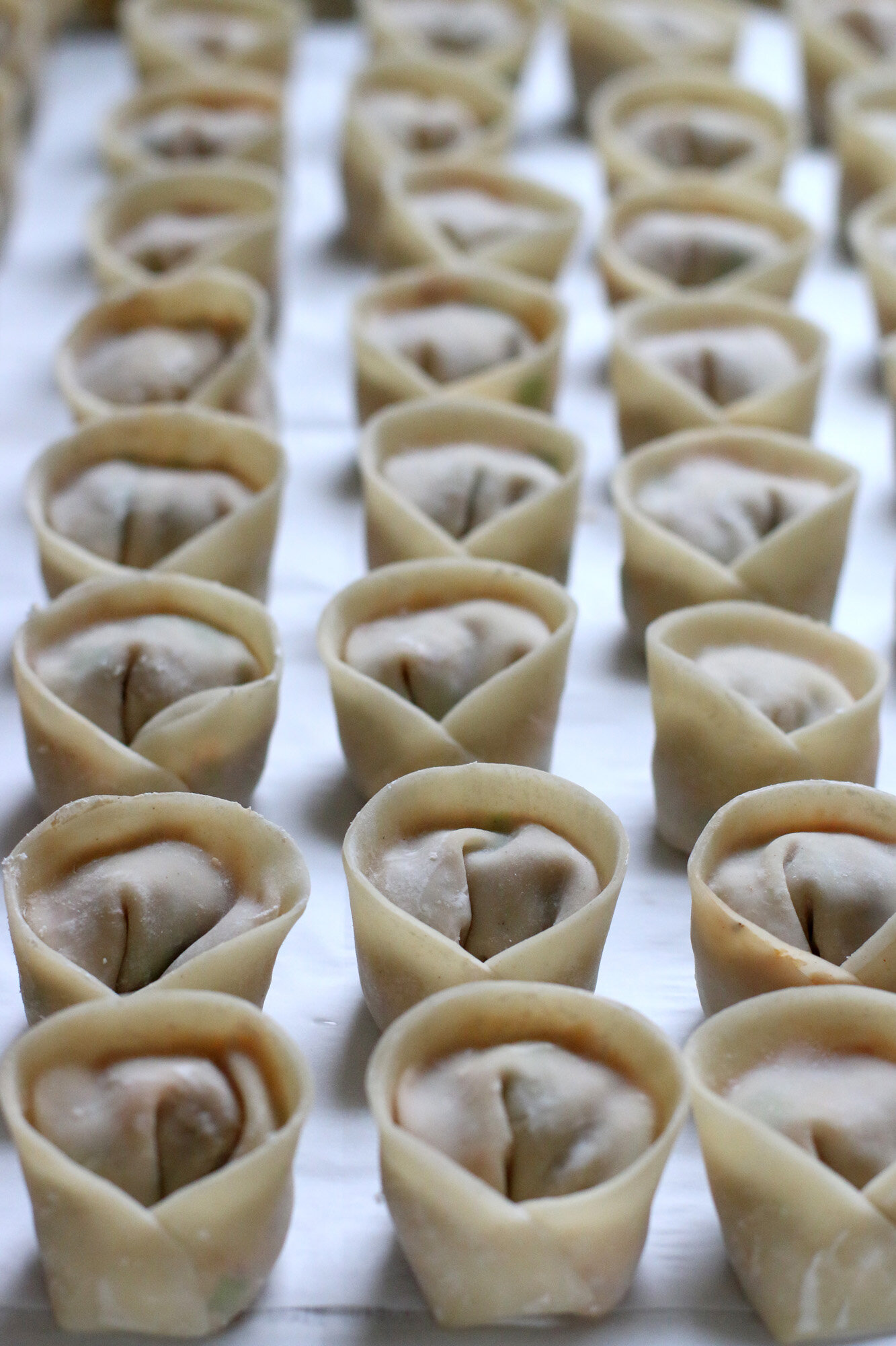 20201013_PorkKimchiMandu_17.jpg