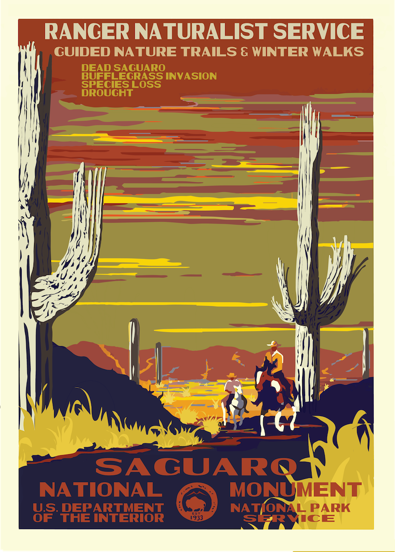 National Parks 2050: Saguaro