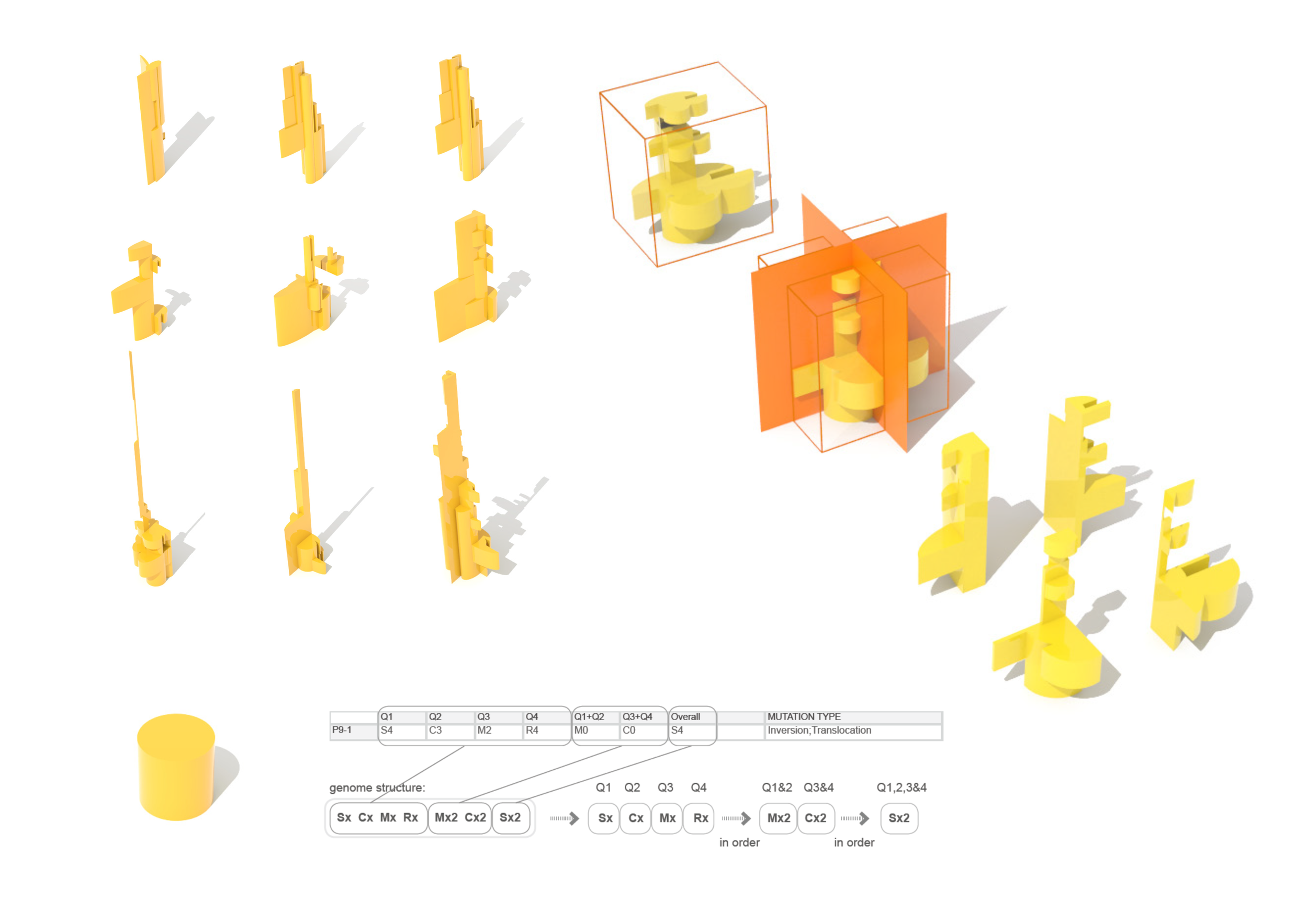 Digital Speciation: The Morphogenesis of Digital Objects (Coming Soon)