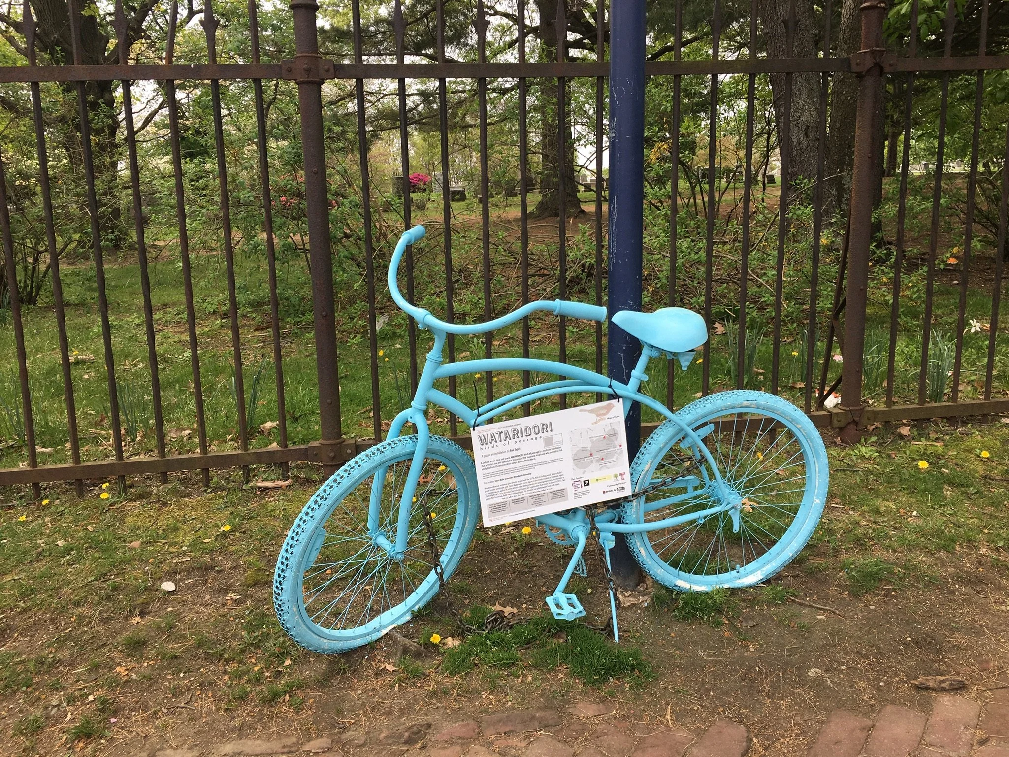 TAJIRI_BIKE_WOODLANDSIMG_0143 copy.JPG