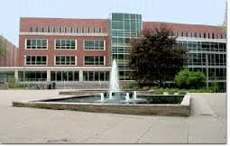 MSU Course Tutoring