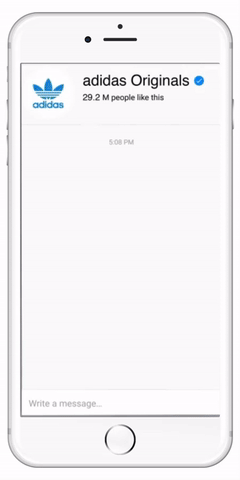 chatbot5-compressor.gif