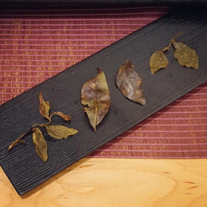 honey oolong.jpg