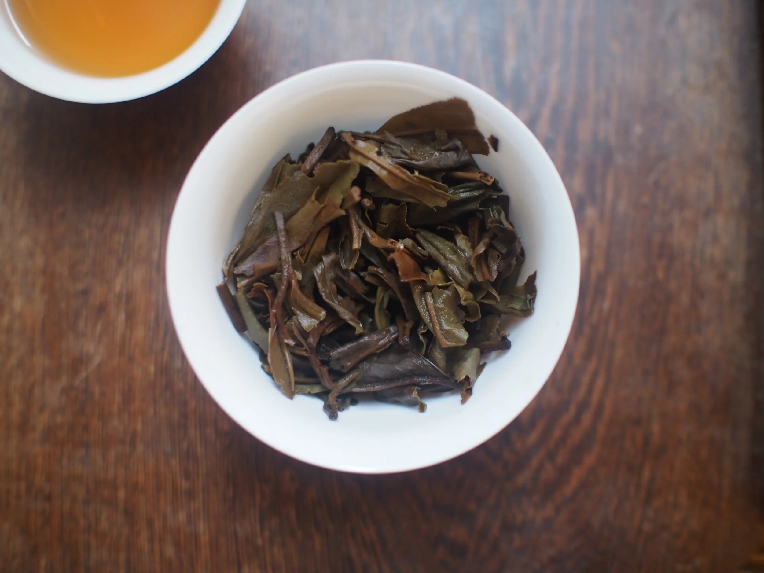 THEVINYLHOUSE★ PLANT TEE ★関税送料込 Buy Loose Leaf Tea — T SHOP