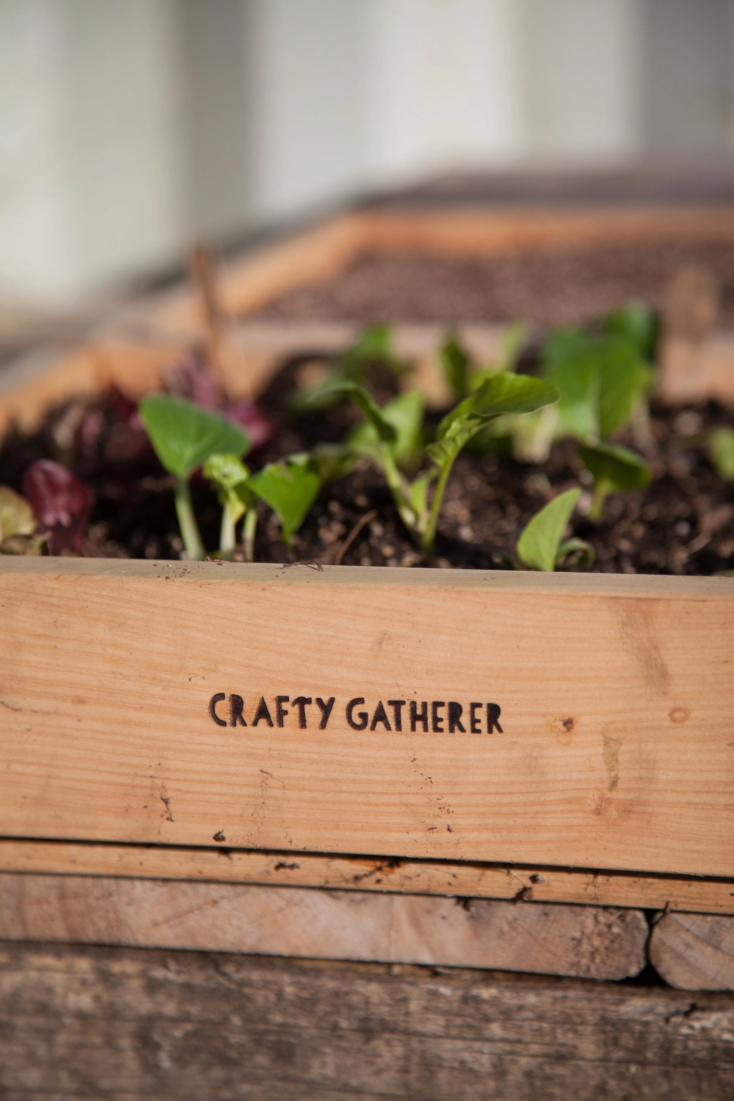 Crafty Gatherers-135.jpg