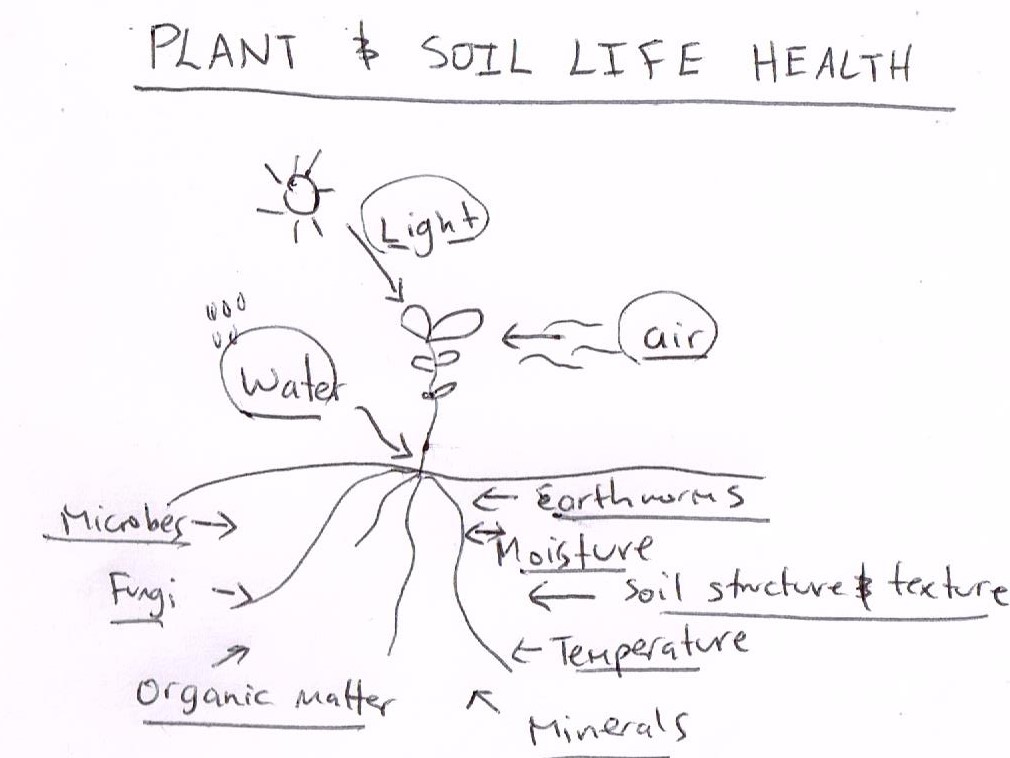soil health2.jpg